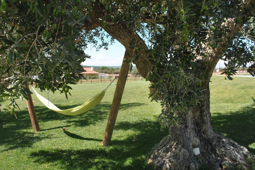 Photo of Outdoor in Alcacer do Sal