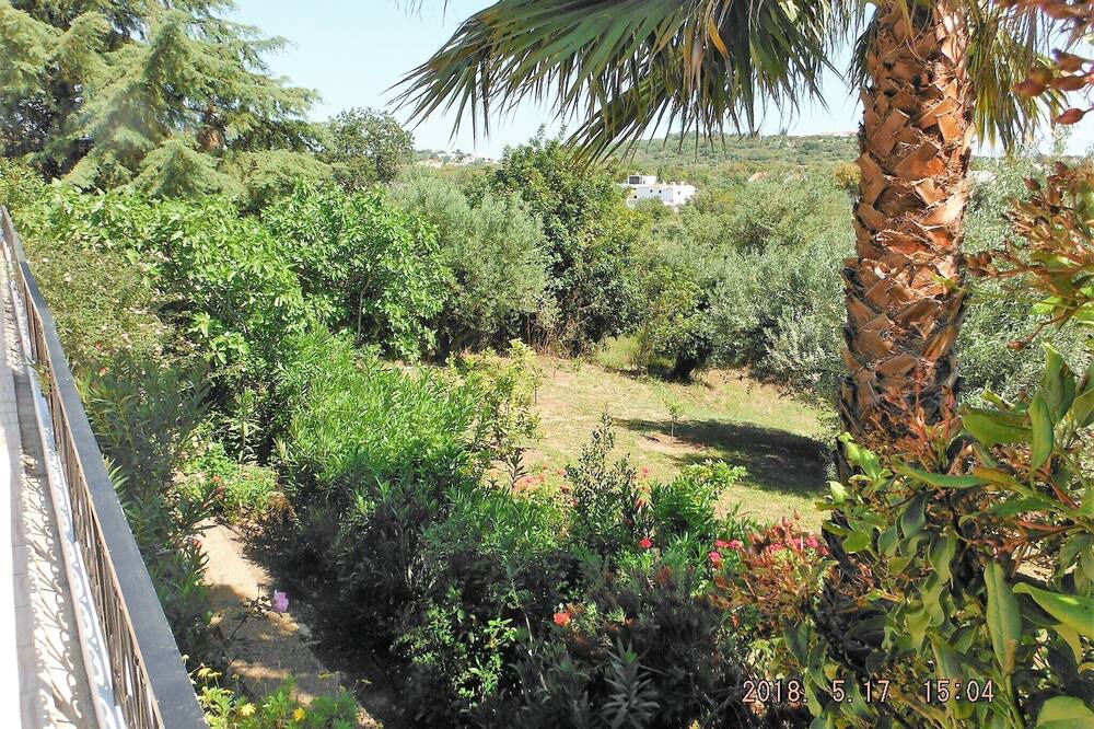 Photo of Outdoor in Sao Bras de Alportel
