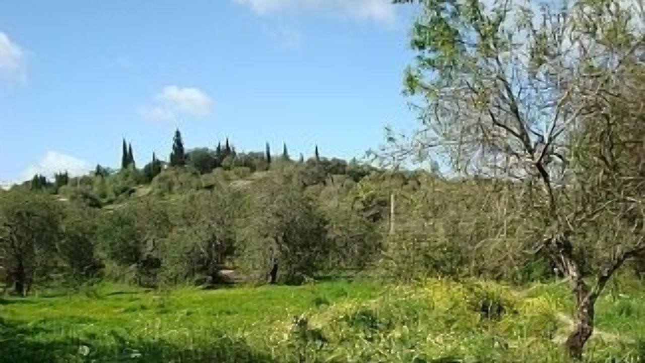 Photo of Outdoor in Santo Estevao