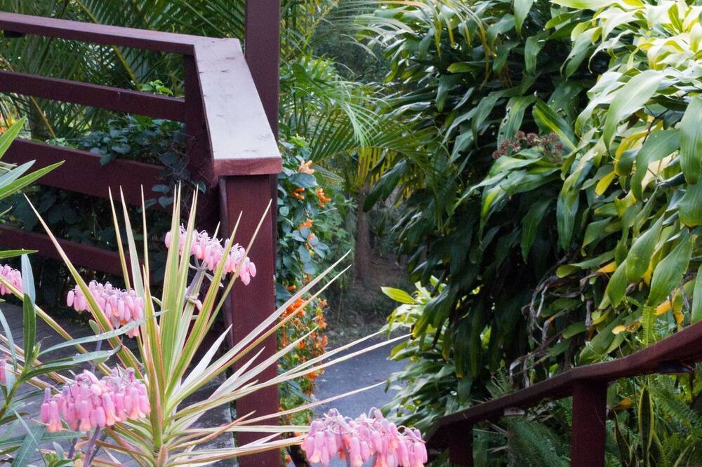 Photo of Outdoor in Mudgeeraba