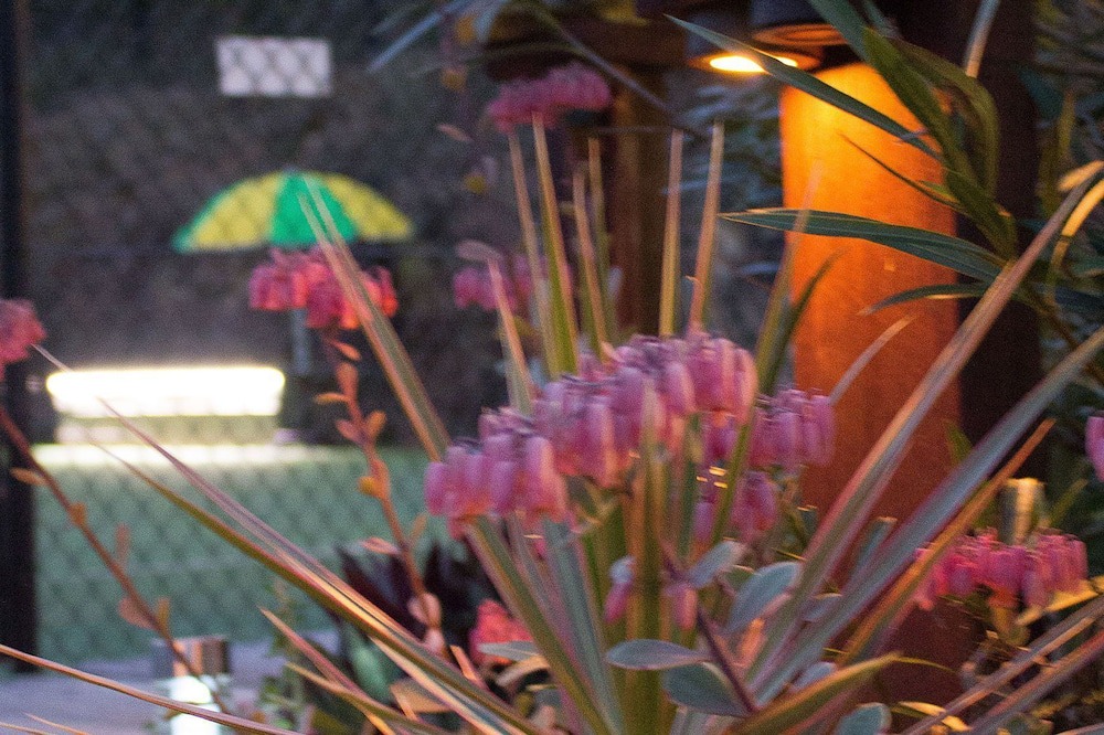 Photo of Outdoor in Mudgeeraba