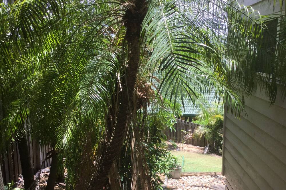 Photo of Outdoor in Pacific Pines