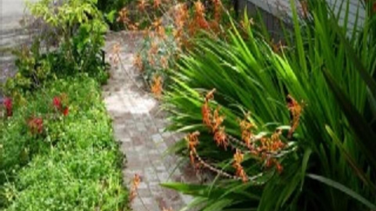 Photo of Outdoor in Hope