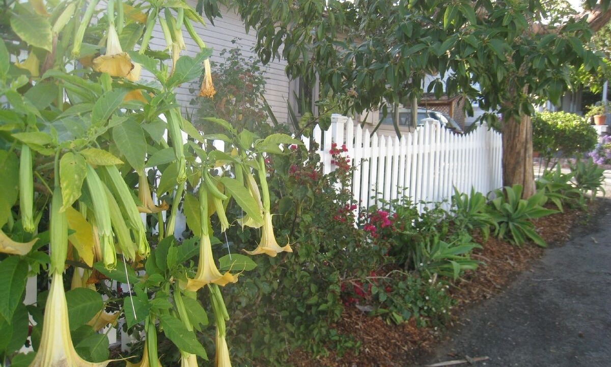 Photo of Outdoor in Hope