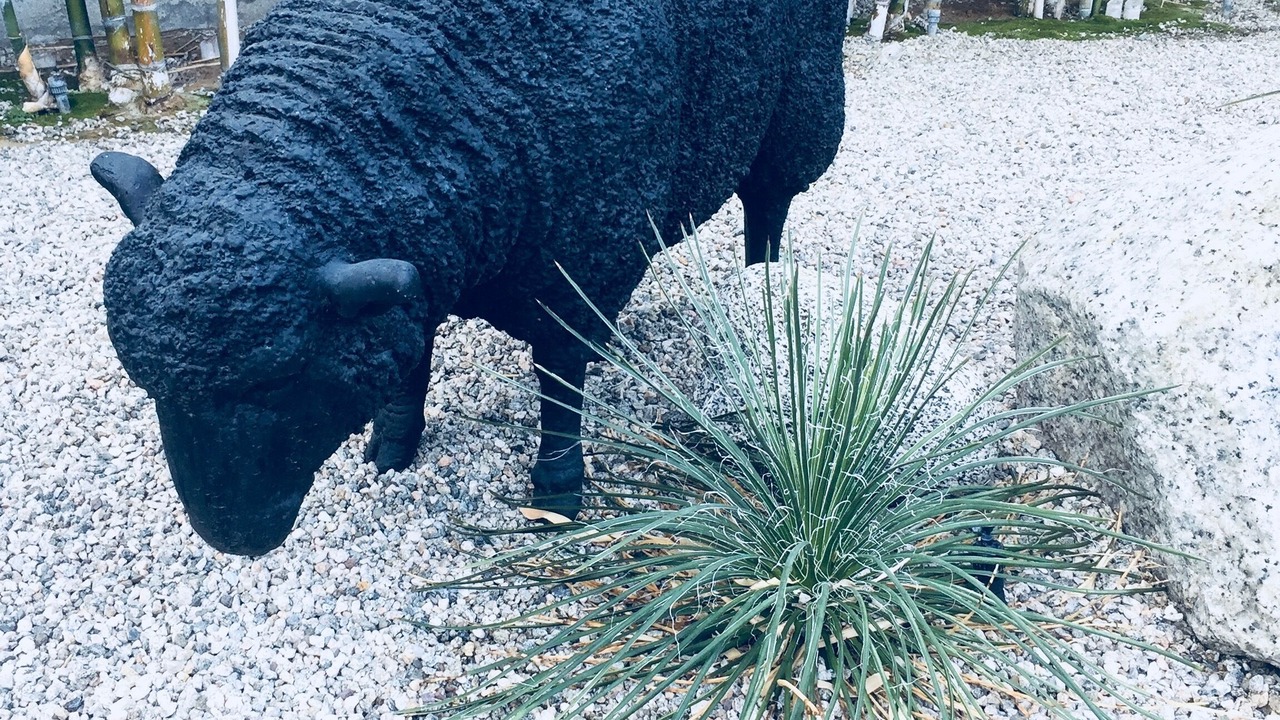 Photo of Outdoor in Palm Springs