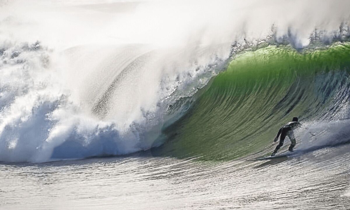 Photo of Others in Los Osos