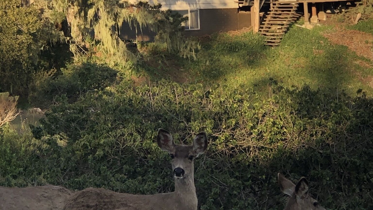 Photo of Outdoor in Los Osos