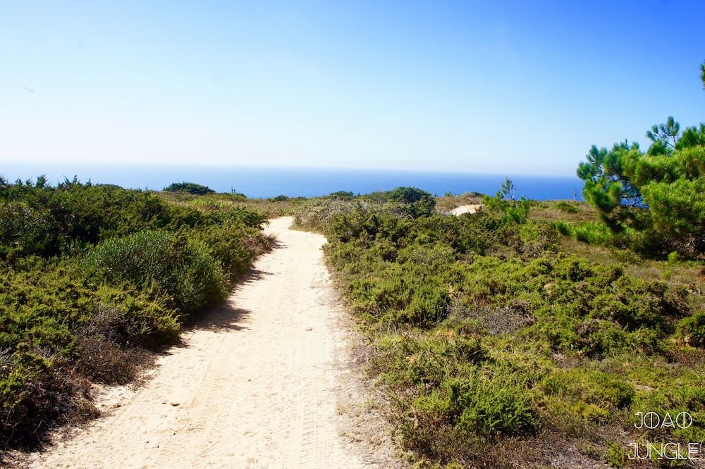Photo of Others in Assafora