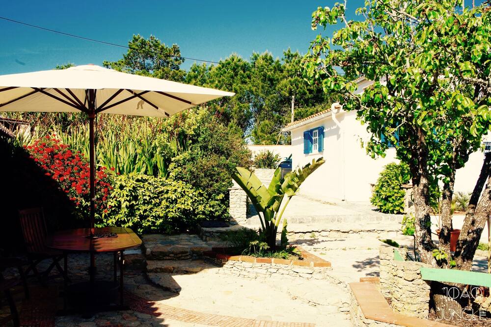 Photo of Outdoor in Assafora