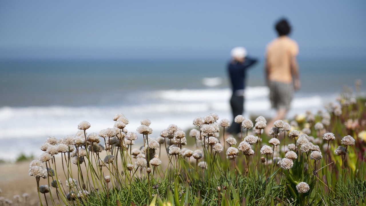 Photo of Others in Atalaia