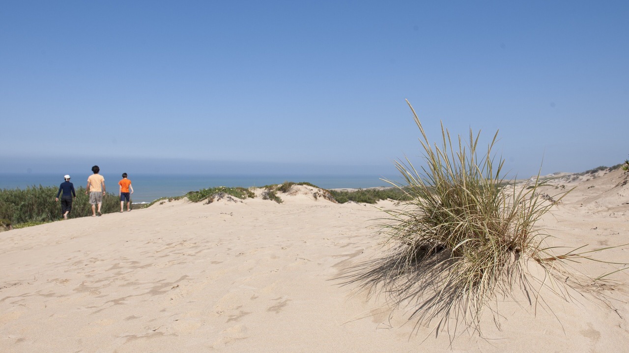 Photo of Others in Atalaia
