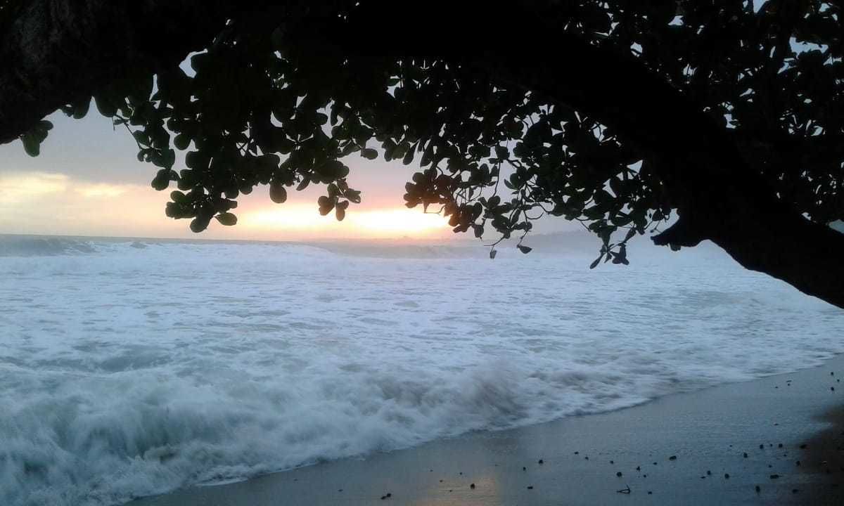 Photo of Others in Cahuita