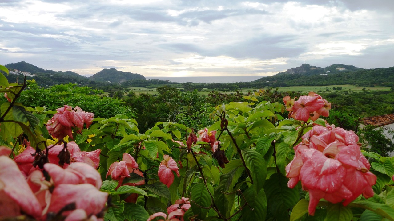 Photo of Outdoor in Lomas de Palermo