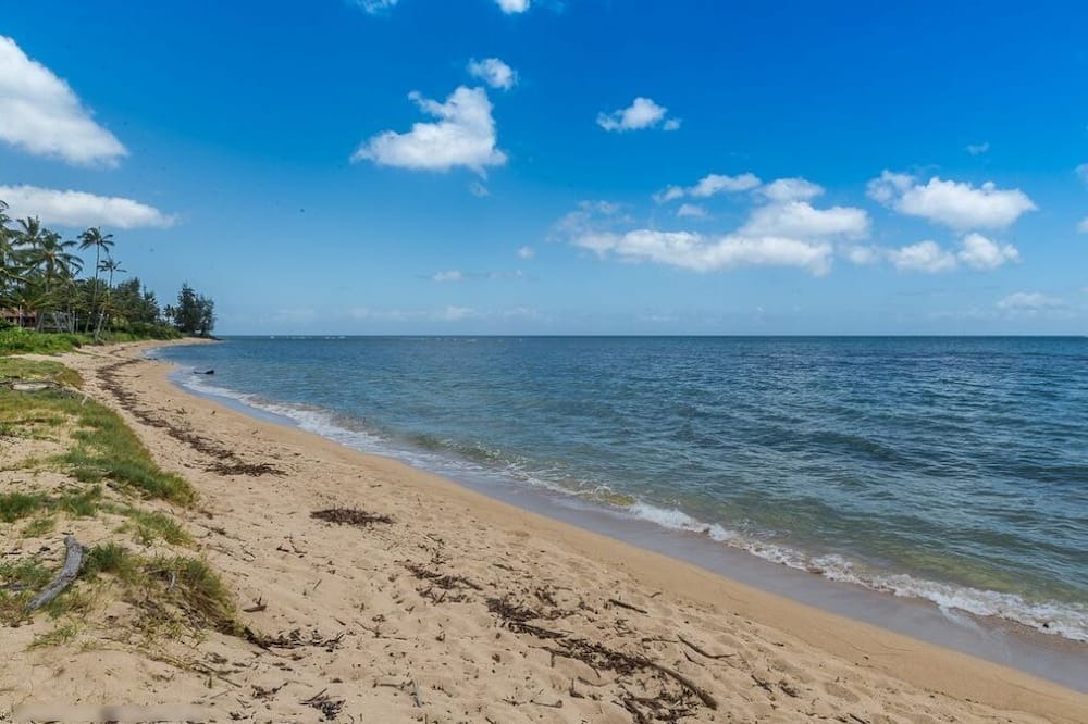 Photo of Others in Waialua