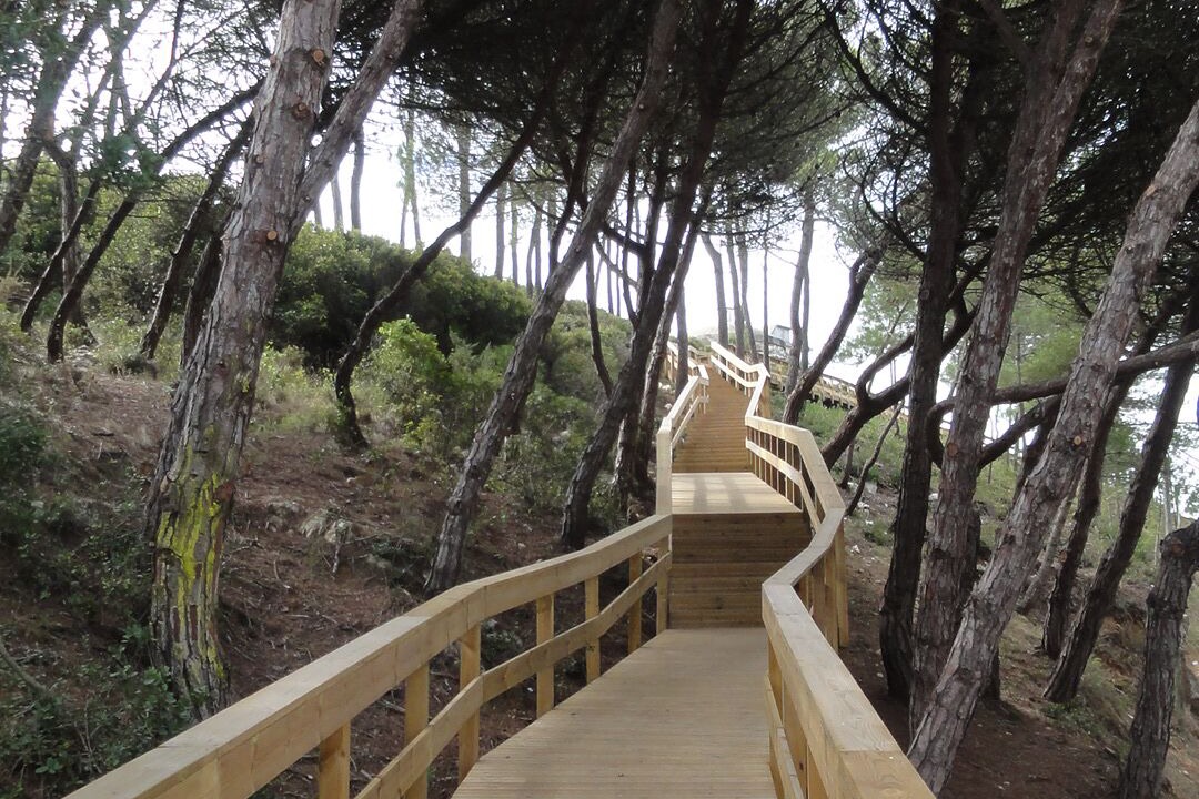 Photo of Outdoor in Maceira