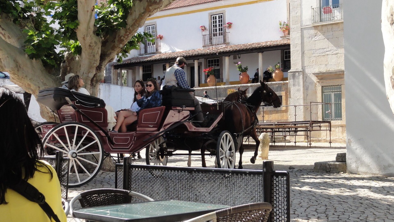 Photo of Outdoor in Maceira