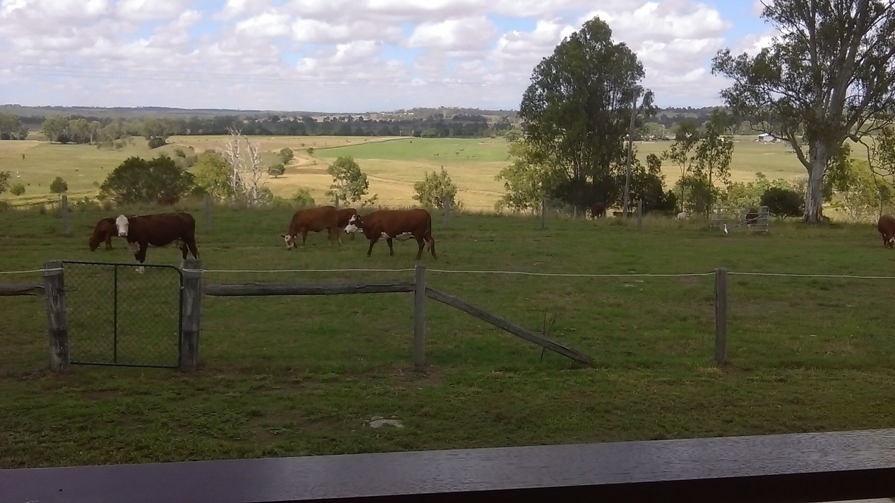 Photo of Outdoor in Borallon