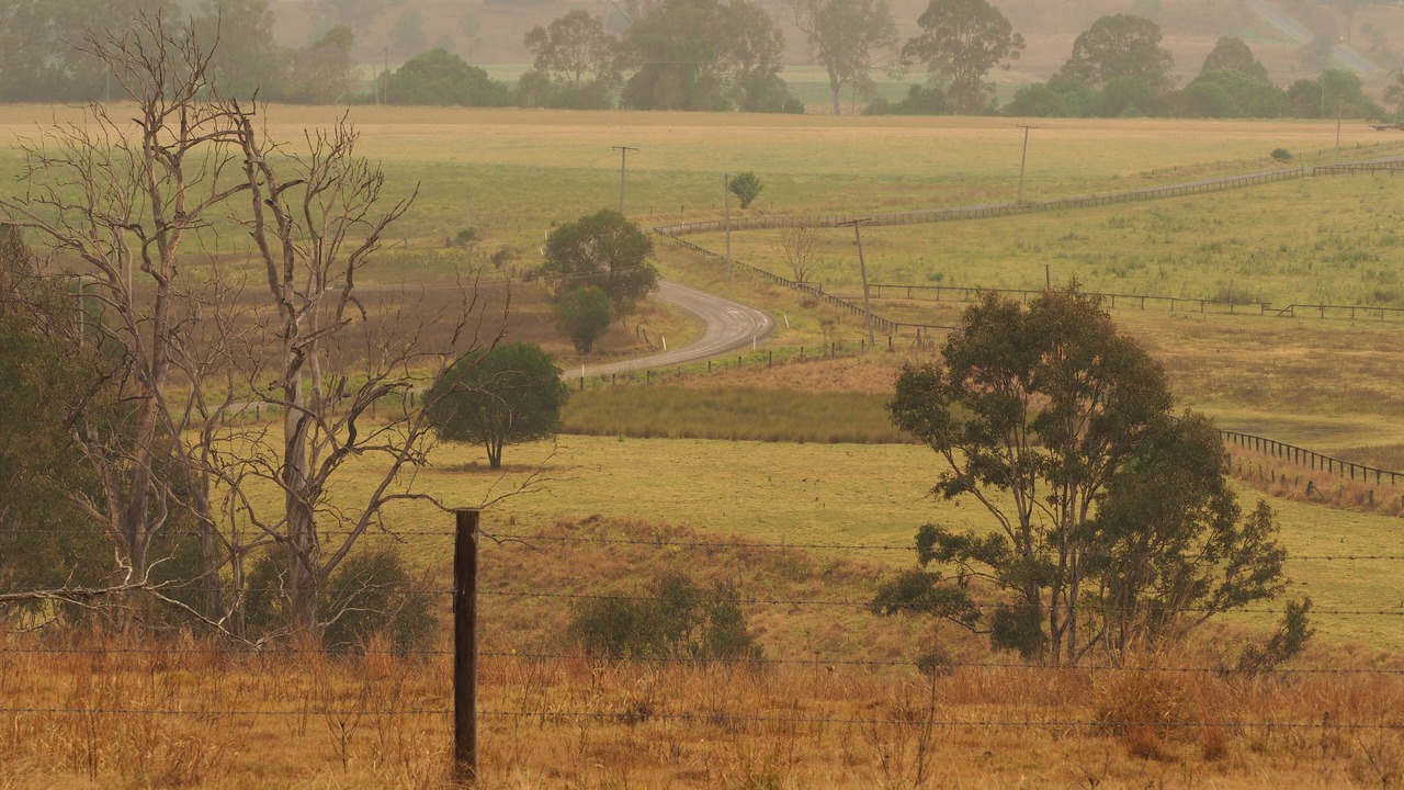 Photo of Outdoor in Borallon