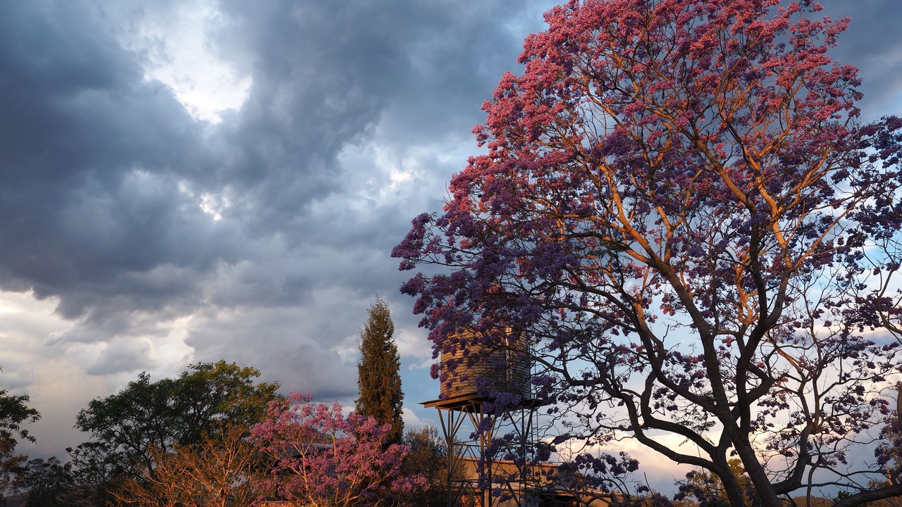 Photo of Outdoor in Borallon