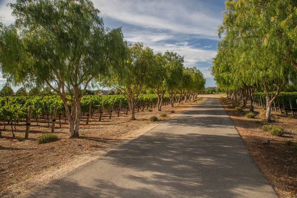 Photo of Others in Santa Ynez