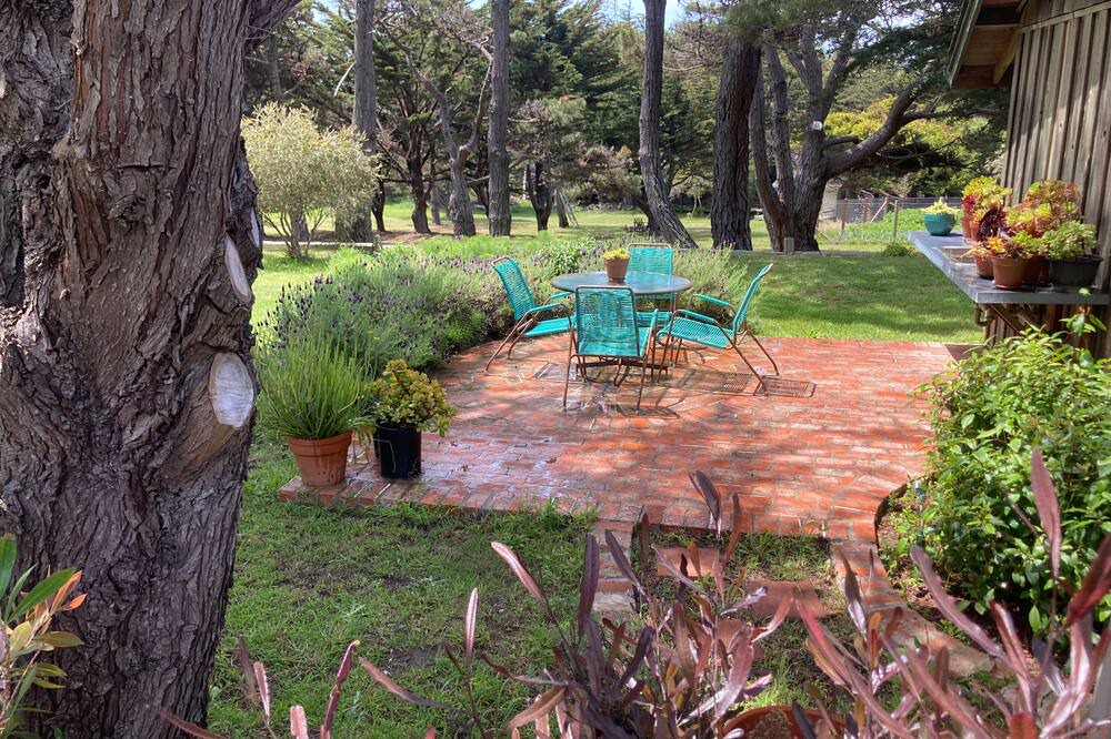 Photo of Outdoor in Timber Cove