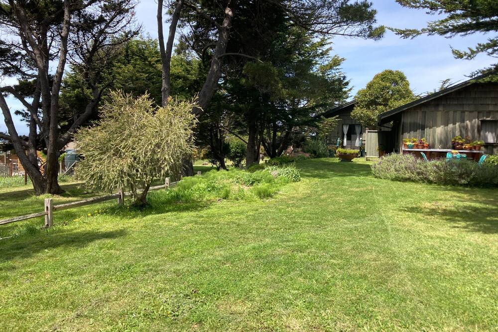 Photo of Outdoor in Timber Cove