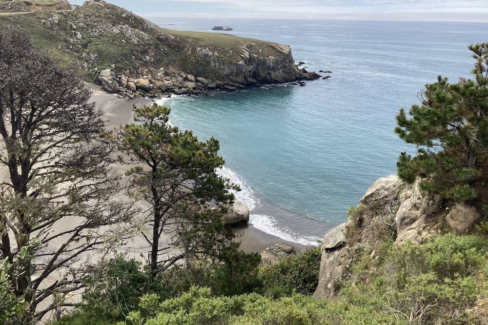 Photo of Others in Timber Cove