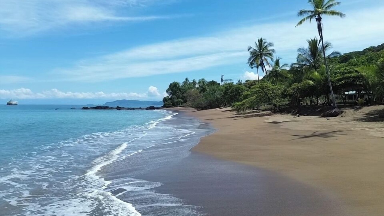 Photo of Others in Drake Bay