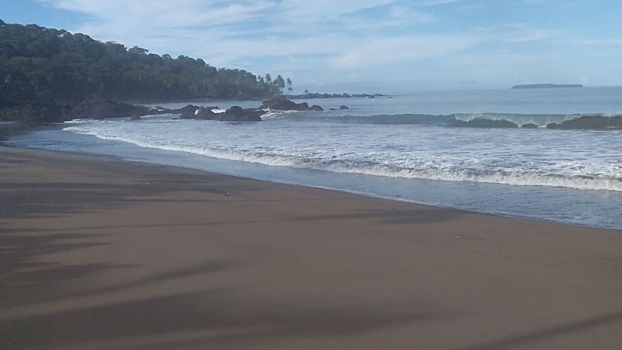Photo of Others in Drake Bay