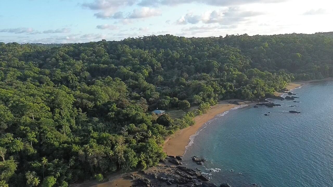 Photo of Others in Drake Bay