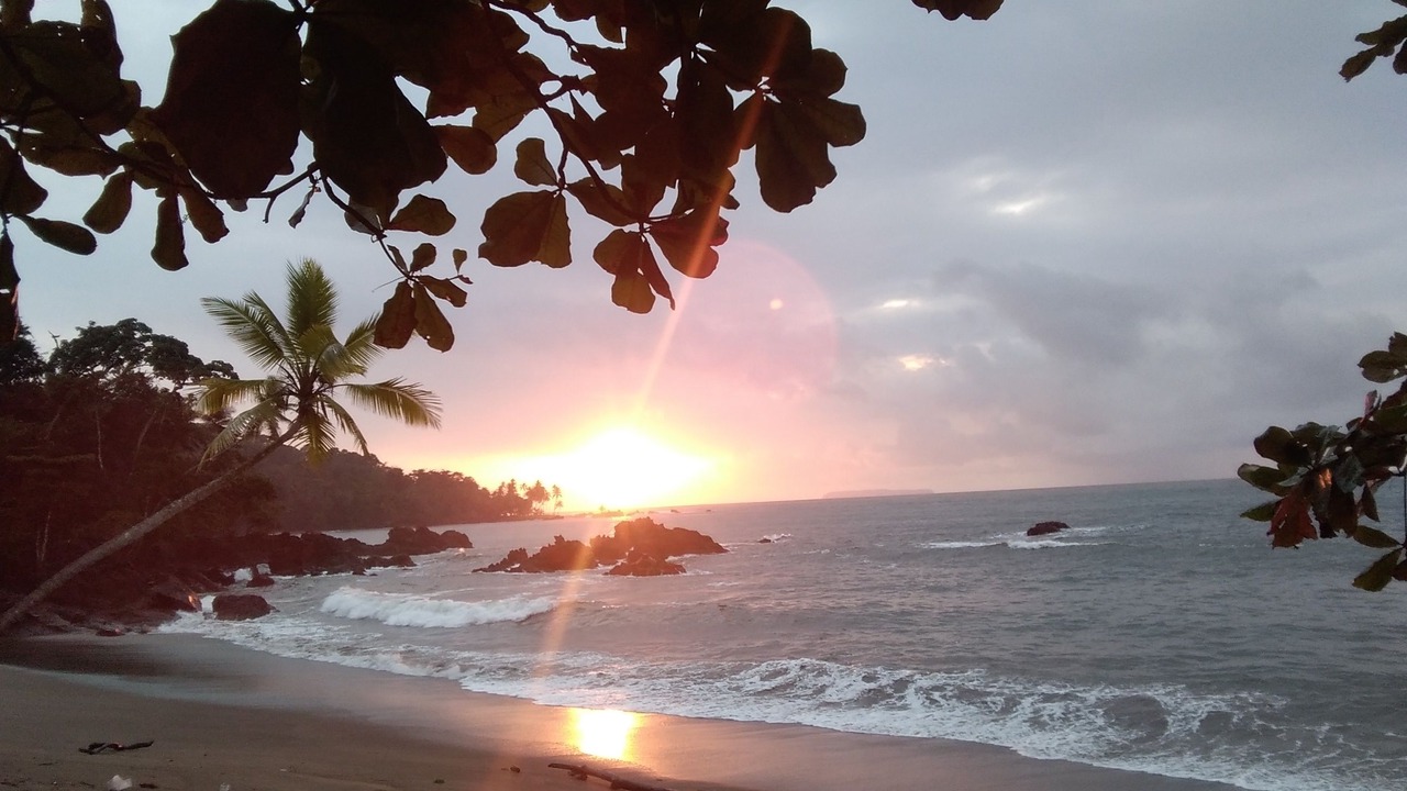 Photo of Others in Drake Bay