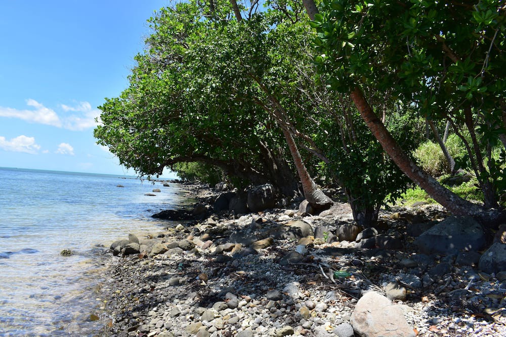 Photo of Others in Savusavu