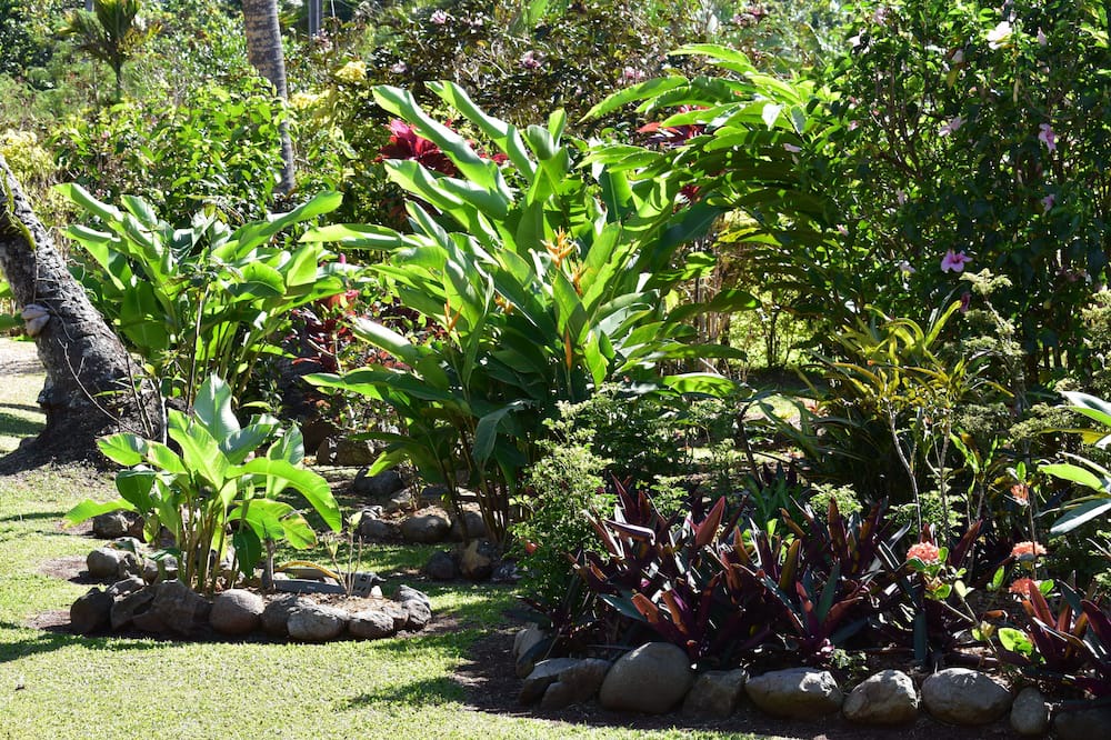 Photo of Others in Savusavu