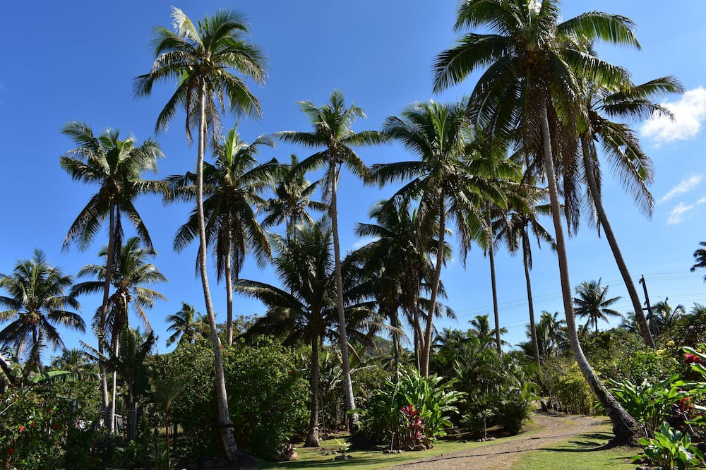 Photo of Others in Savusavu