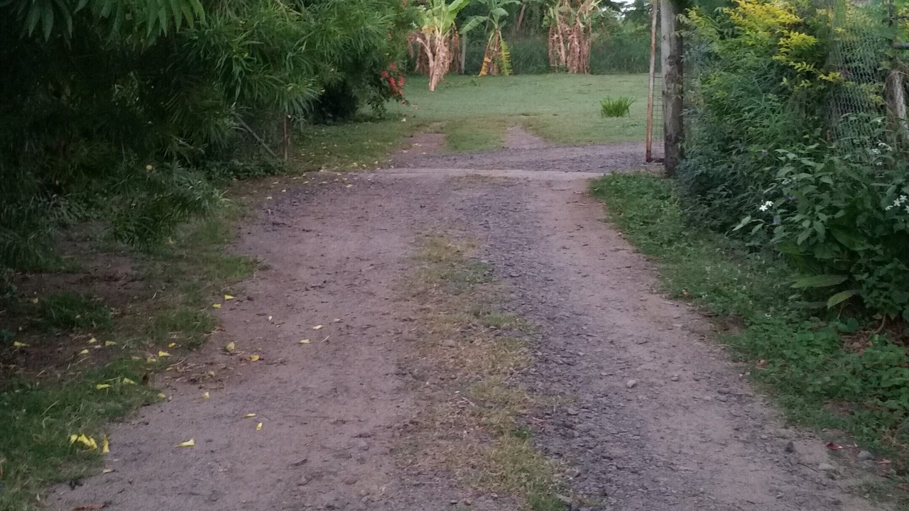 Photo of Outdoor in Lautoka
