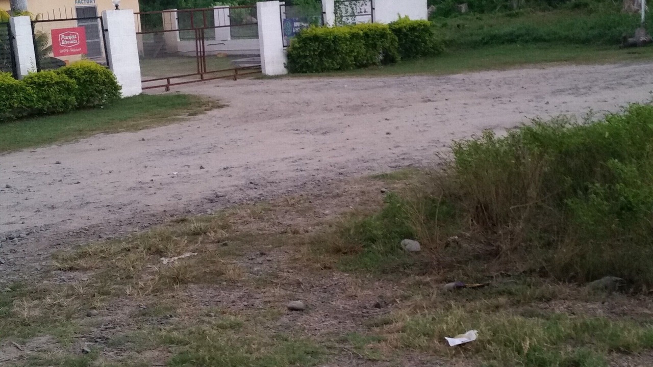 Photo of Outdoor in Lautoka