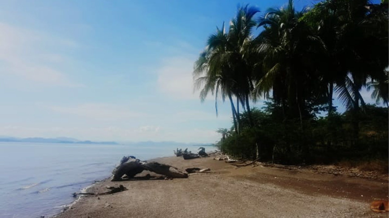 Photo of Others in Manzanillo