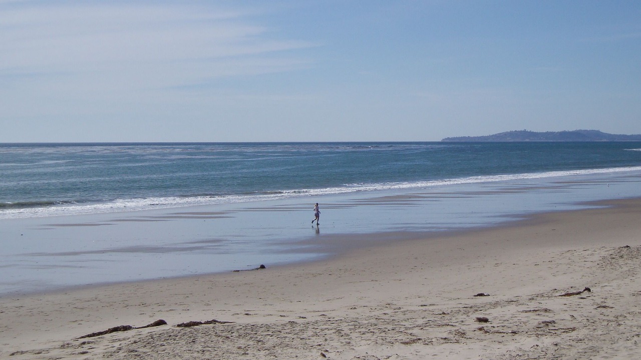 Photo of Others in Carpinteria