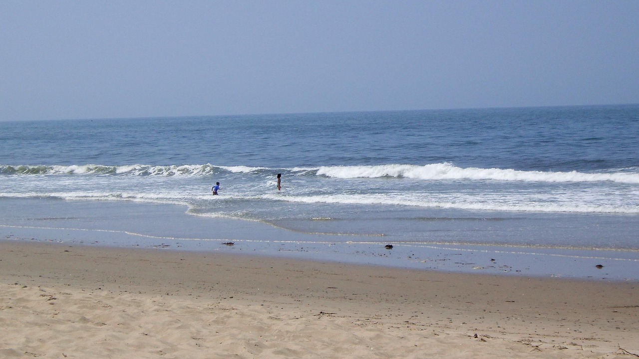 Photo of Others in Carpinteria
