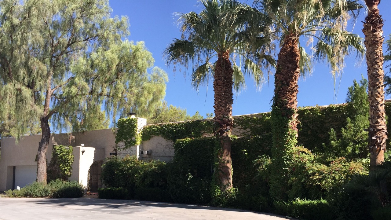 Photo of Outdoor in Pinto Palomino