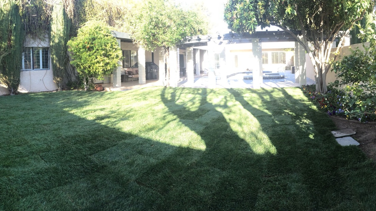 Photo of Outdoor in Pinto Palomino