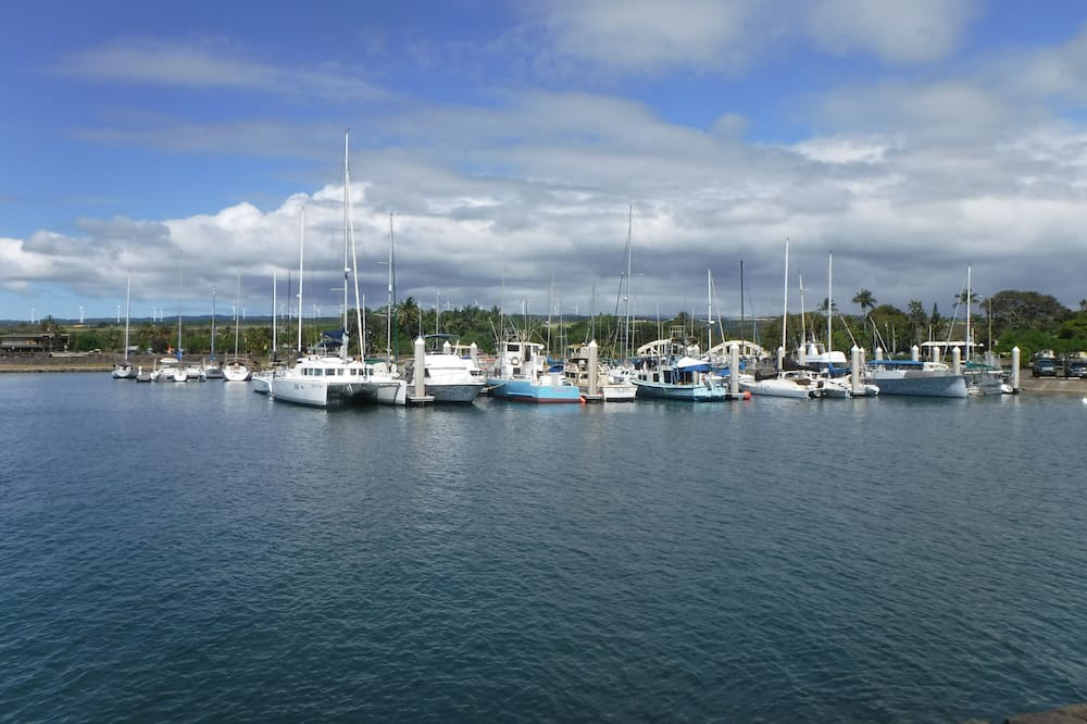 Photo of Others in Waialua