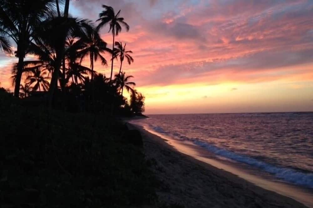 Photo of Others in Waialua