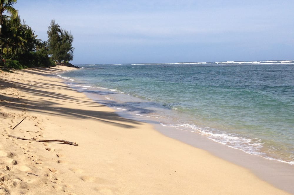Photo of Others in Waialua