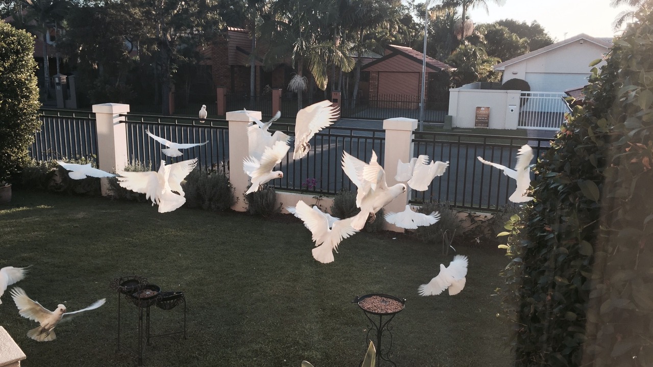 Photo of Outdoor in Broadbeach Waters