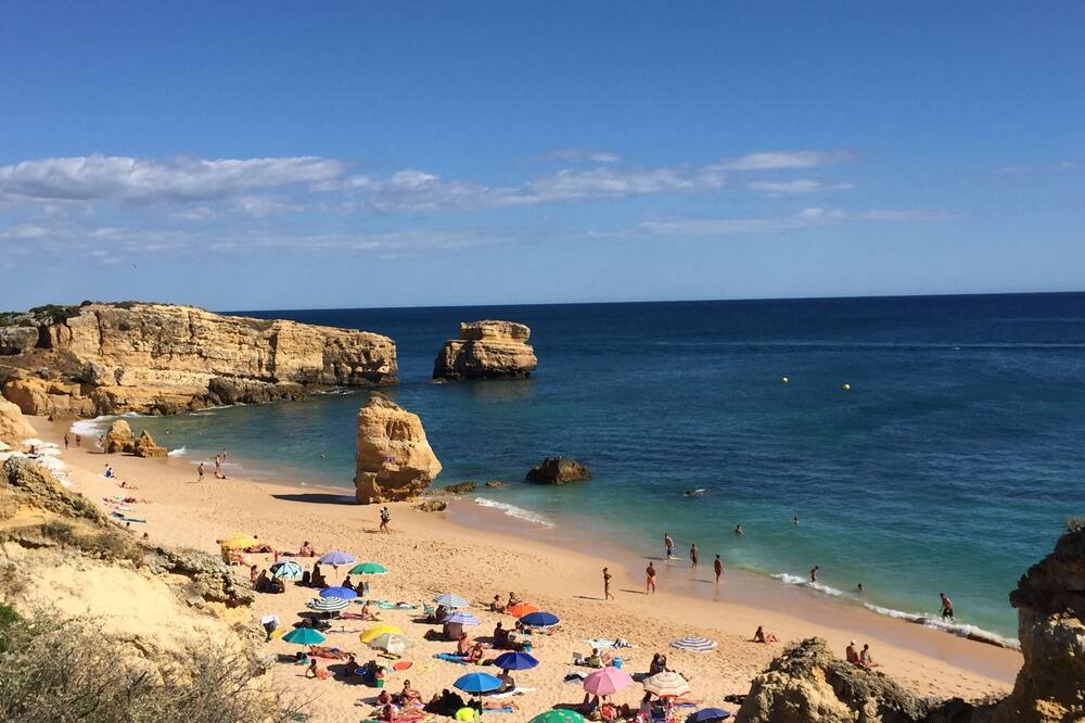 Photo of Others in Vale de Parra