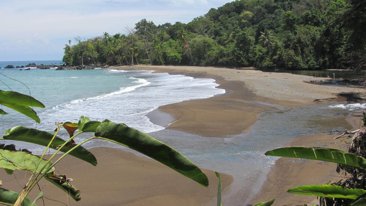 Photo of Outdoor in Drake Bay