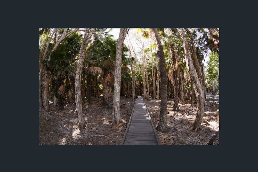 Photo of Others in Gold Coast