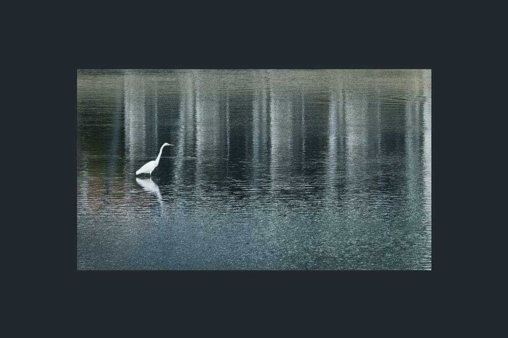 Photo of Others in Gold Coast