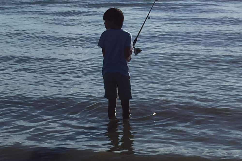Photo of Others in Gold Coast